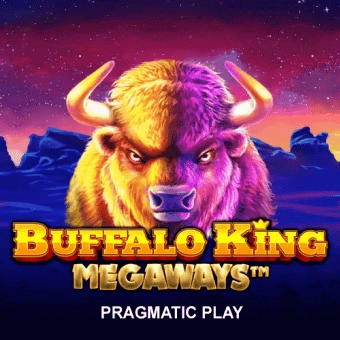 mm66 mm66